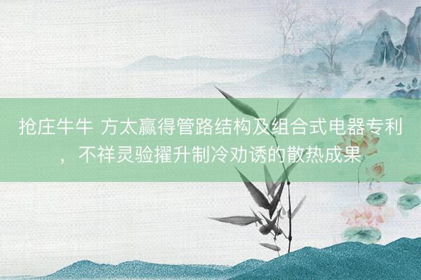 抢庄牛牛 方太赢得管路结构及组合式电器专利，不祥灵验擢升制冷劝诱的散热成果