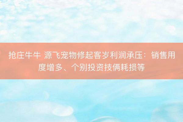 抢庄牛牛 源飞宠物修起客岁利润承压：销售用度增多、个别投资技俩耗损等